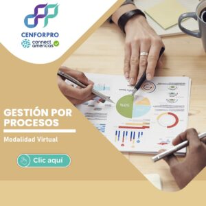 Gestión por Procesos