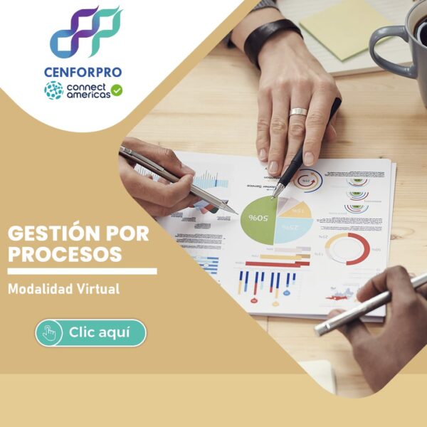 Gestión por Procesos