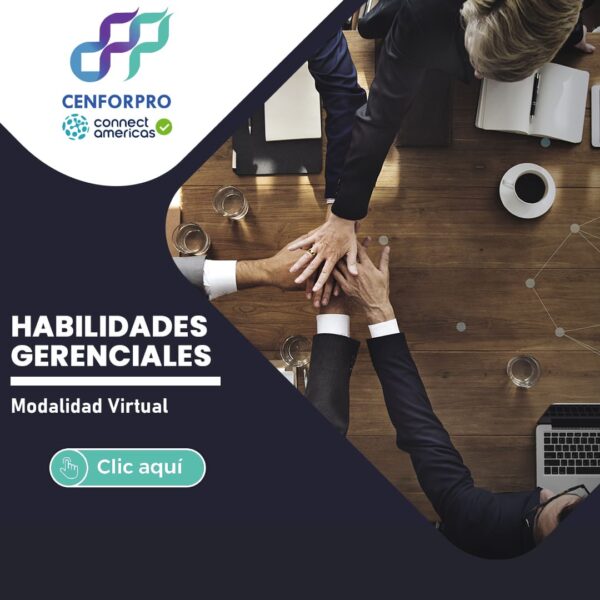 Habilidades Gerenciales