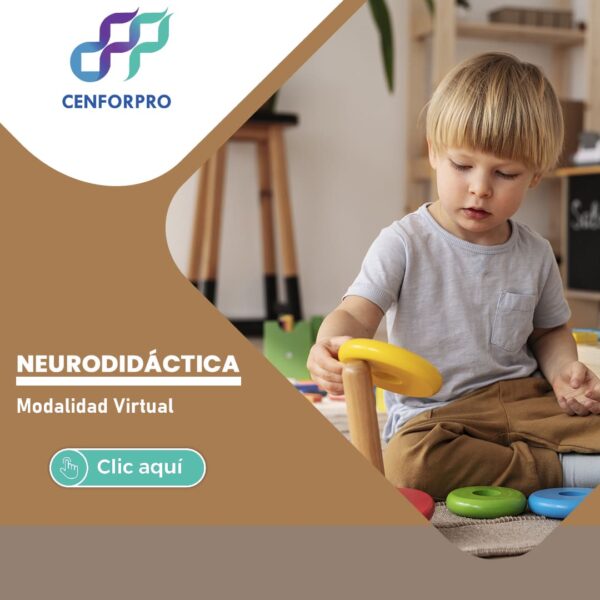 Neurodidáctica