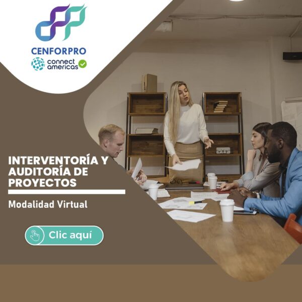 Interventoría y Auditoría de Proyectos