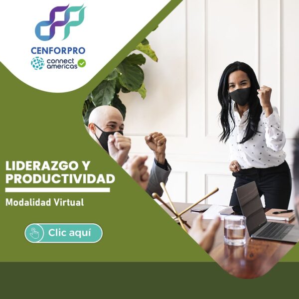 Liderazgo y Productividad