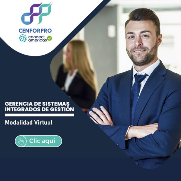 Gerencia de Sistemas Integrados de Gestión