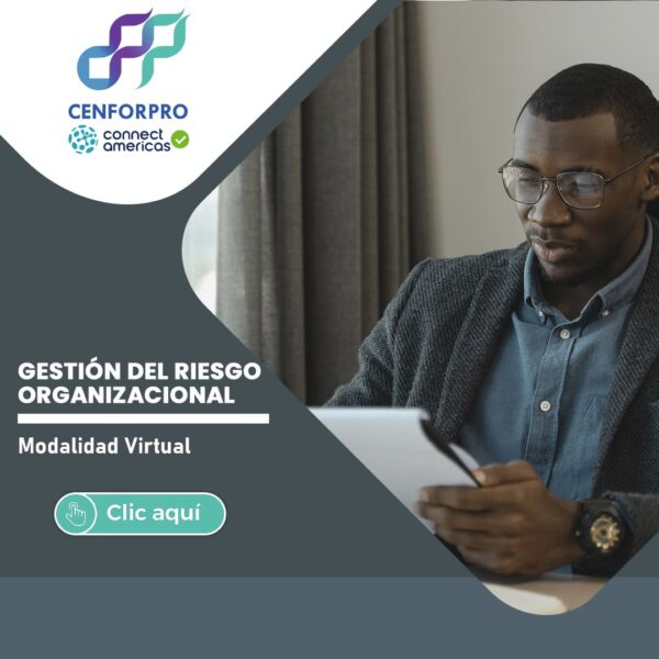 GESTION-DEL-RIESGO-ORGANIZACIONAL