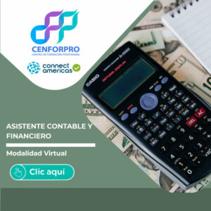 Asistente Contable y Financiero