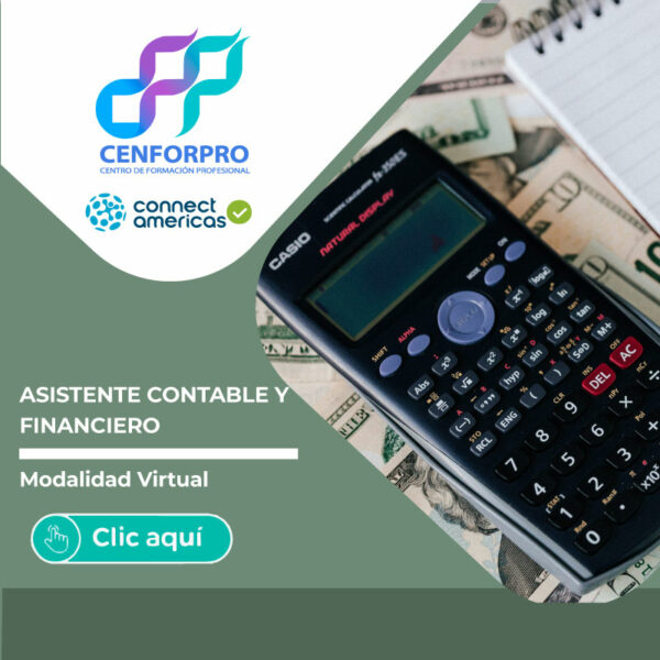 Asistente Contable y Financiero